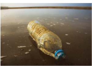 Sewage Cleaning Services Near Oak Harbor